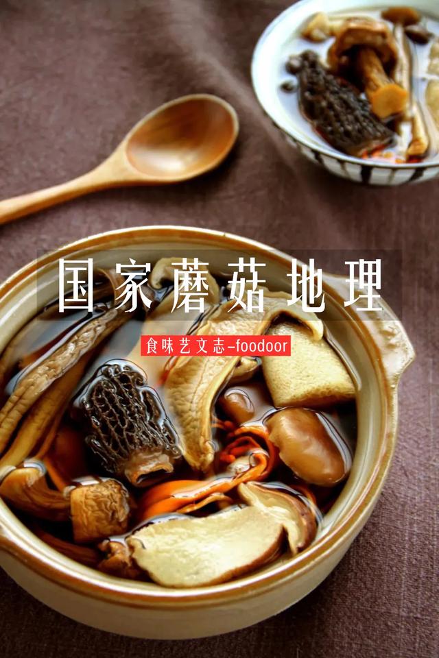 國(guó)家蘑菇地理：中國(guó)哪里的蘑菇最好吃？
