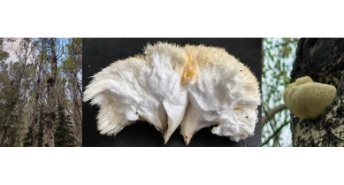 行業(yè)動態(tài)